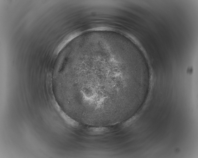 X0000113241425200909241536