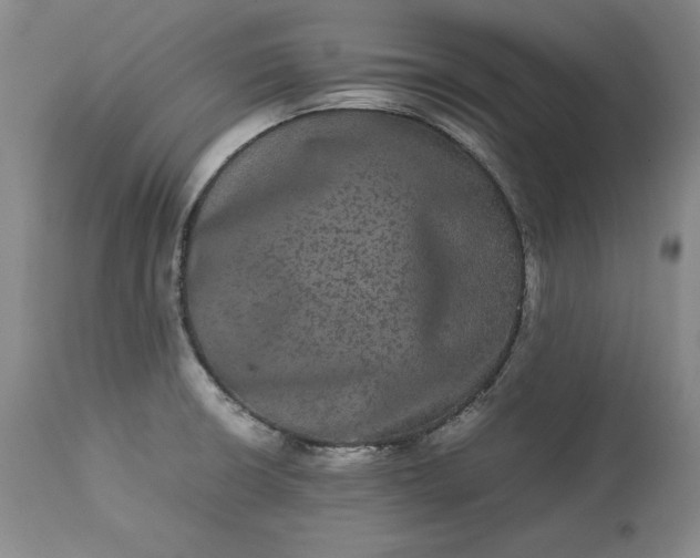 X0000113241426200909241536