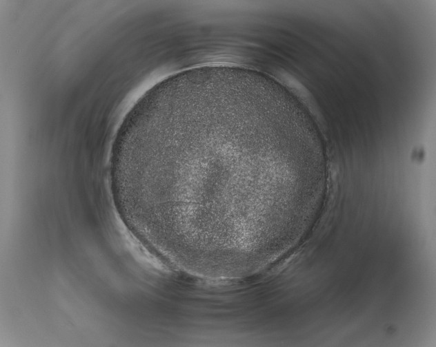 X0000113241427200909241536