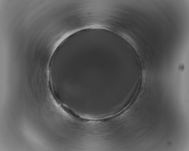 X0000113241428200909241536