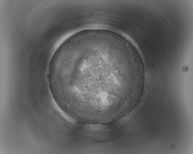 X0000113241429200909241536