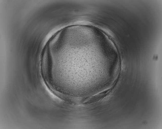 X0000113241430200909241536