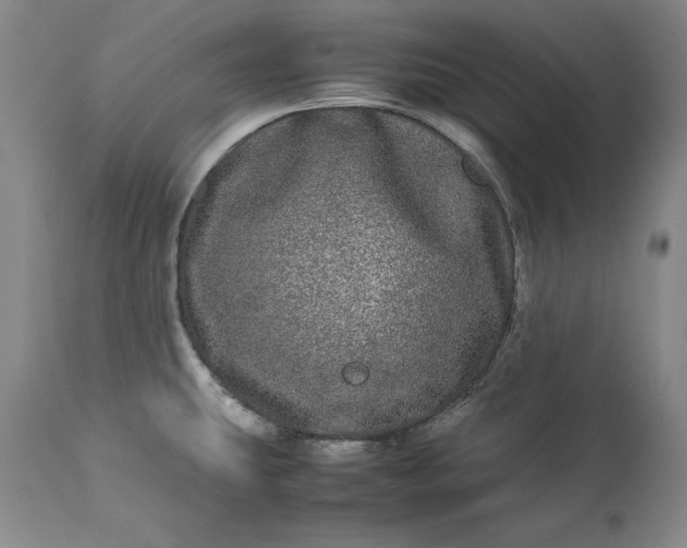 X0000113241431200909241536