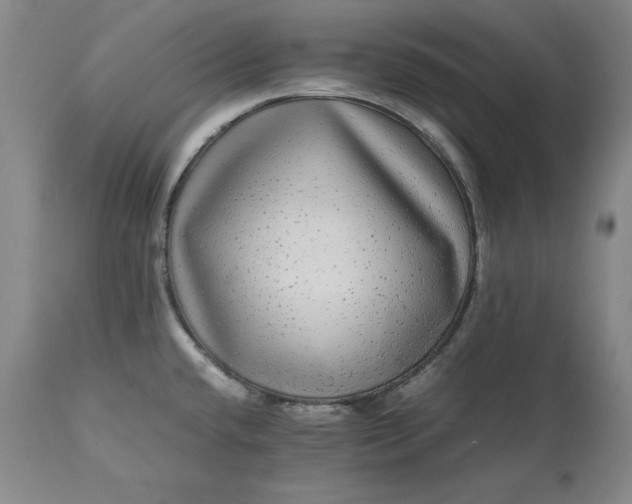 X0000113241432200909241536