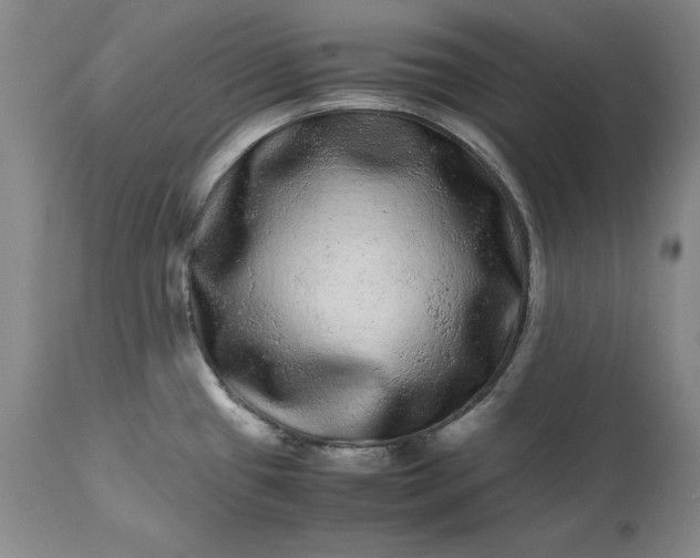 X0000113241433200909241536