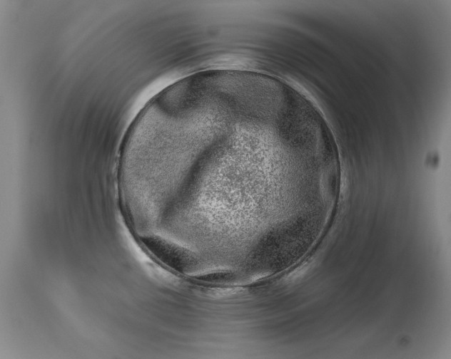 X0000113241434200909241536