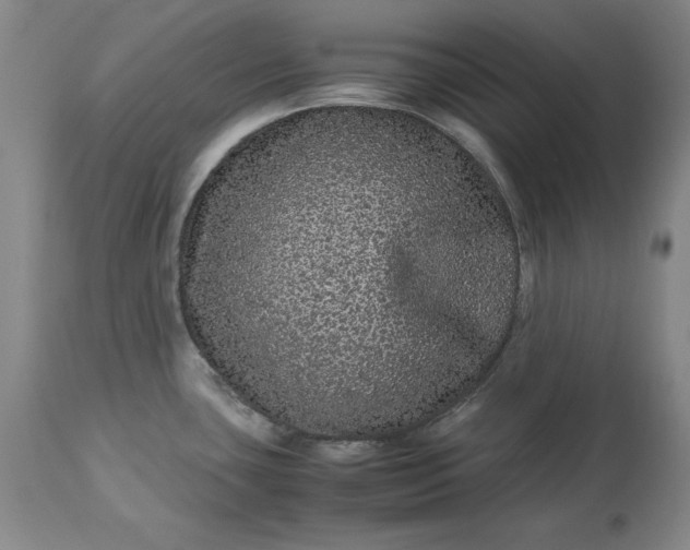 X0000113241435200909241536