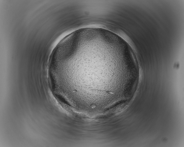 X0000113241436200909241536