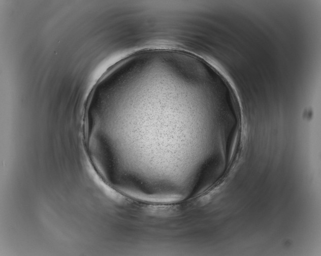 X0000113241437200909241536