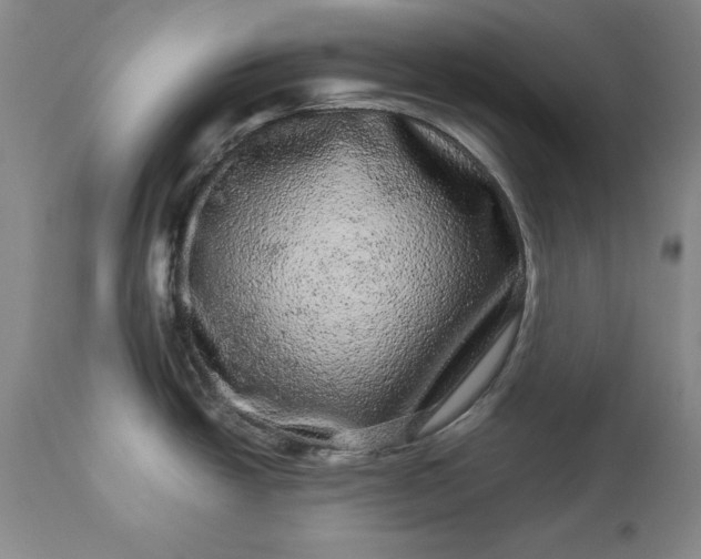 X0000113241438200909241536