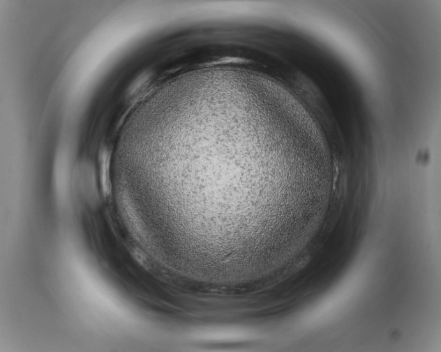 X0000113241439200909241536