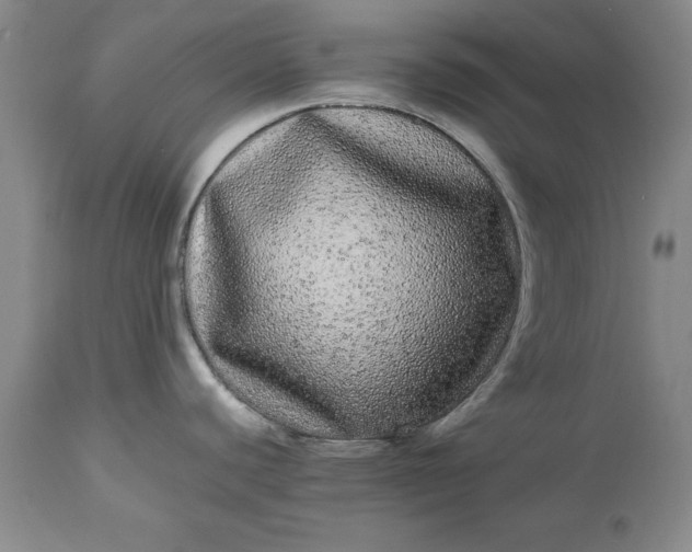 X0000113241440200909241536