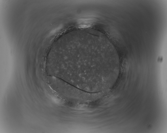 X0000113241441200909241535