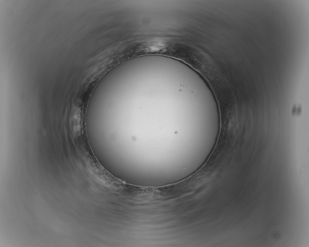 X0000113241442200909241535