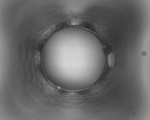 X0000113241443200909241535