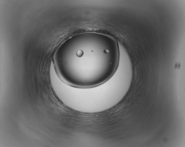 X0000113241444200909241535