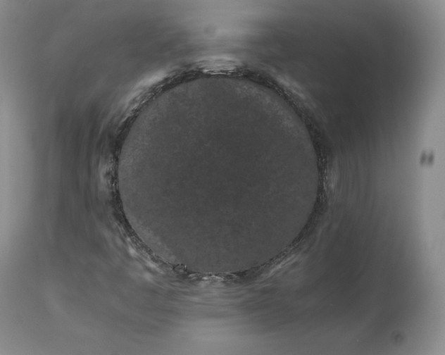 X0000113241445200909241535