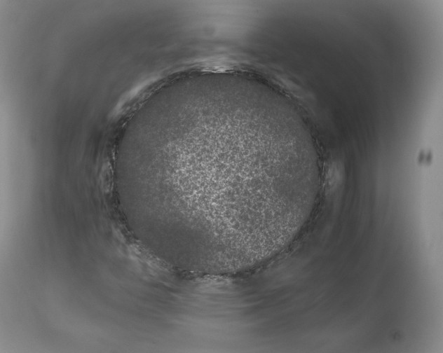 X0000113241446200909241535