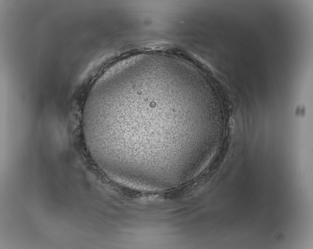 X0000113241447200909241535