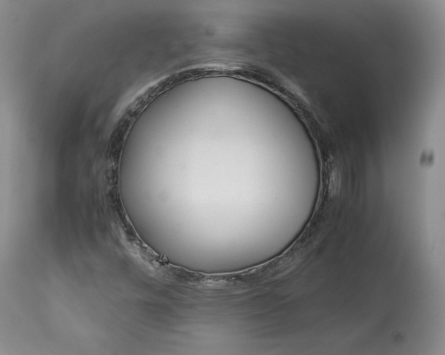 X0000113241448200909241535