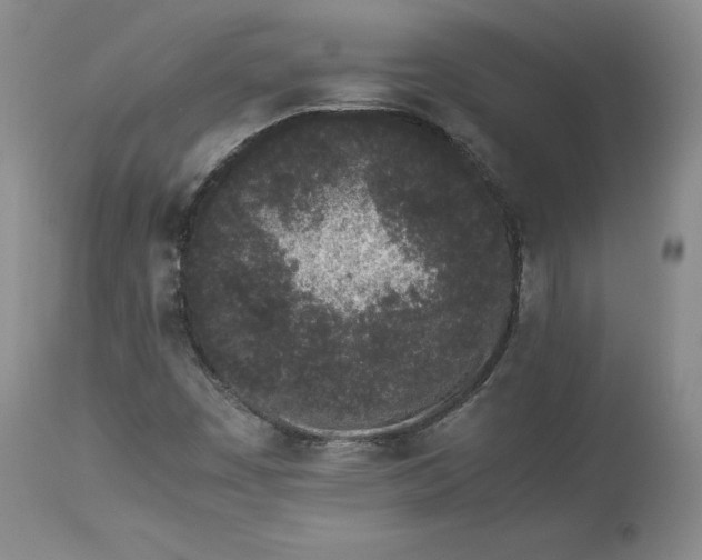 X0000113241449200909241535