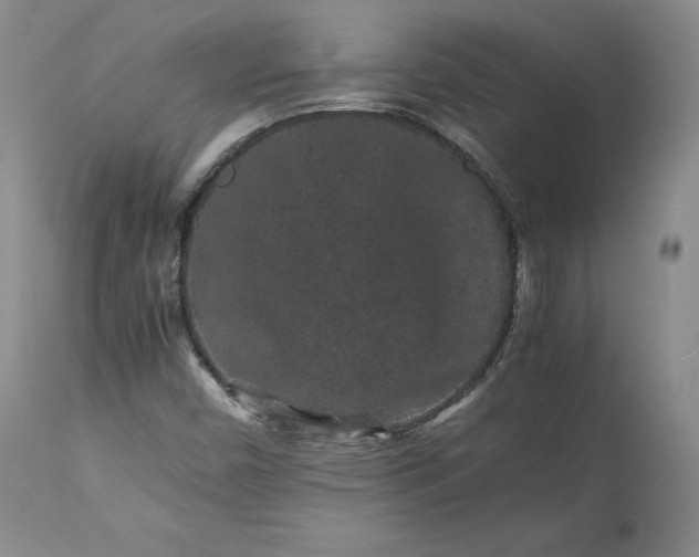 X0000113241450200909241535