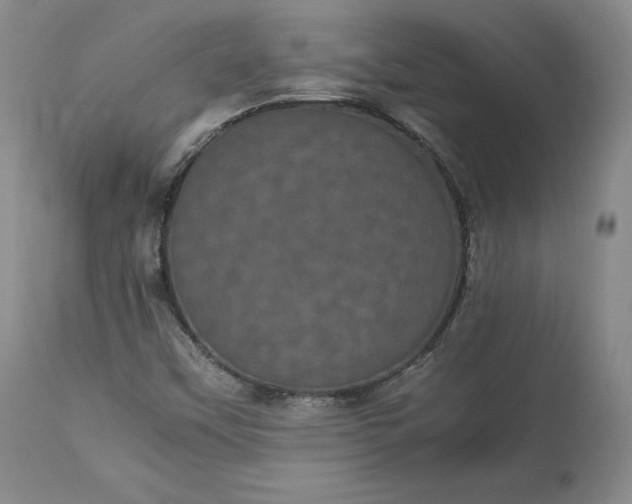 X0000113241451200909241535