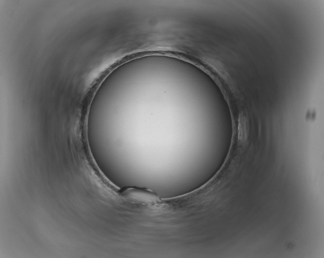 X0000113241452200909241535