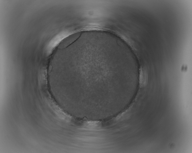 X0000113241453200909241535