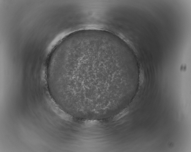 X0000113241454200909241535