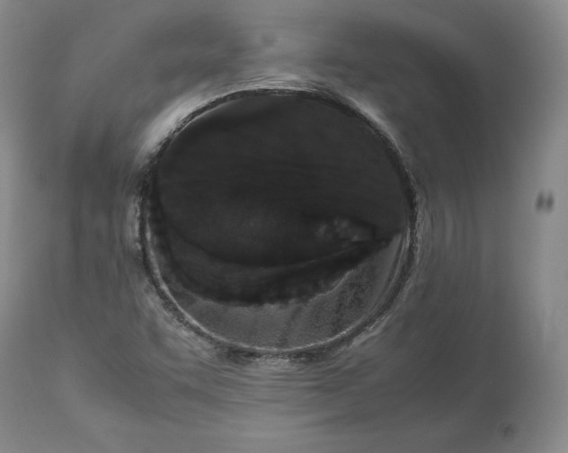 X0000113241455200909241535