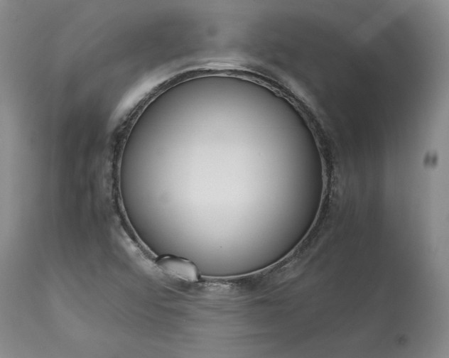 X0000113241456200909241535