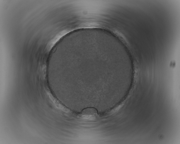 X0000113241457200909241535