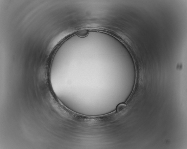 X0000113241458200909241535