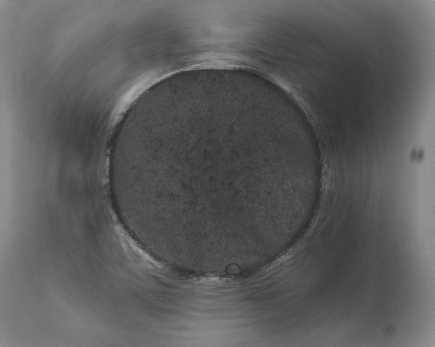 X0000113241459200909241535