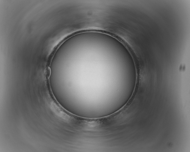 X0000113241460200909241535