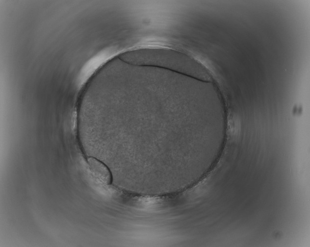 X0000113241461200909241535