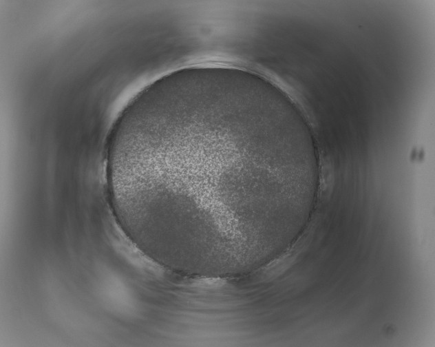 X0000113241462200909241535