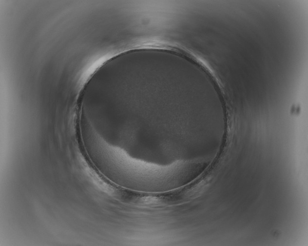 X0000113241463200909241535