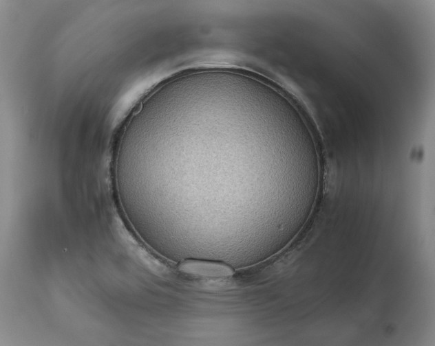 X0000113241464200909241535