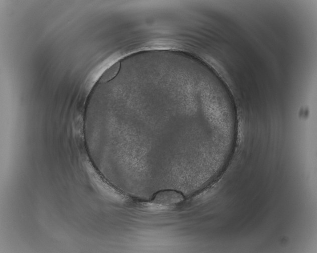 X0000113241465200909241535