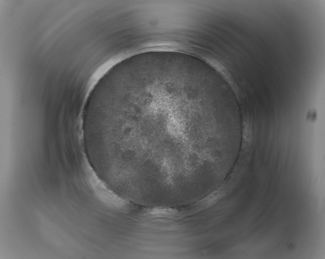 X0000113241466200909241535