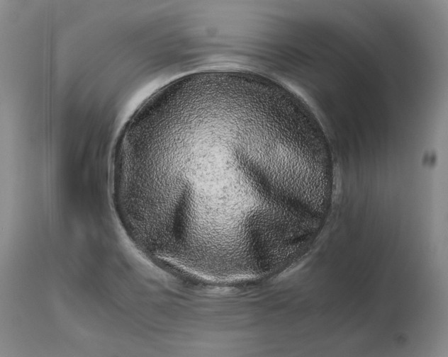 X0000113241467200909241535