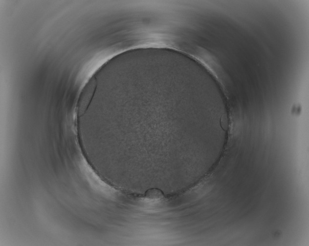 X0000113241468200909241535