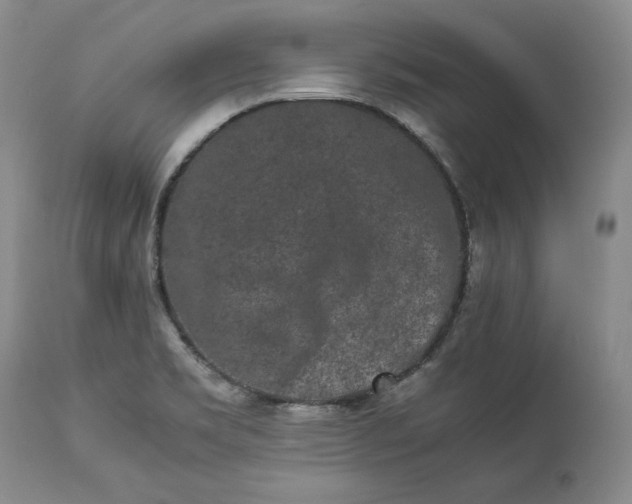 X0000113241469200909241535