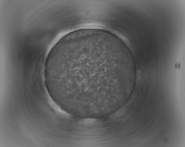 X0000113241470200909241535