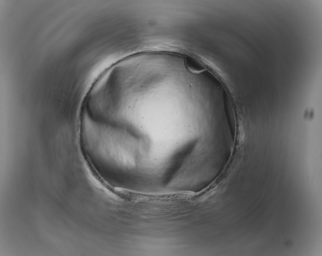 X0000113241471200909241535