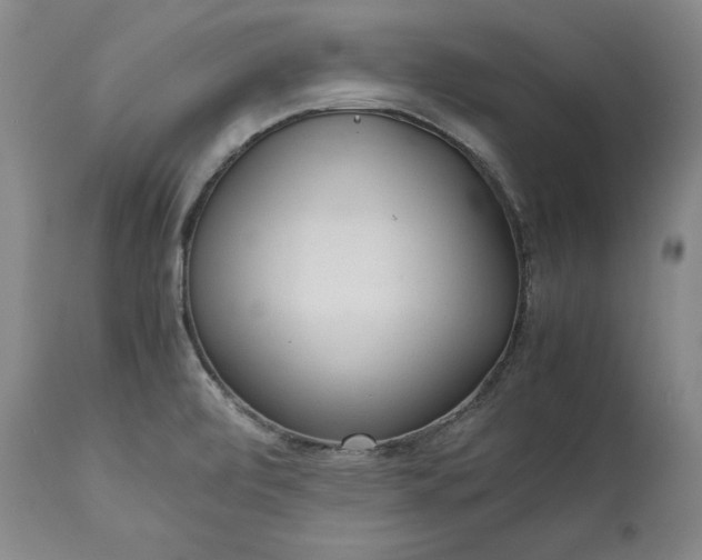 X0000113241472200909241535