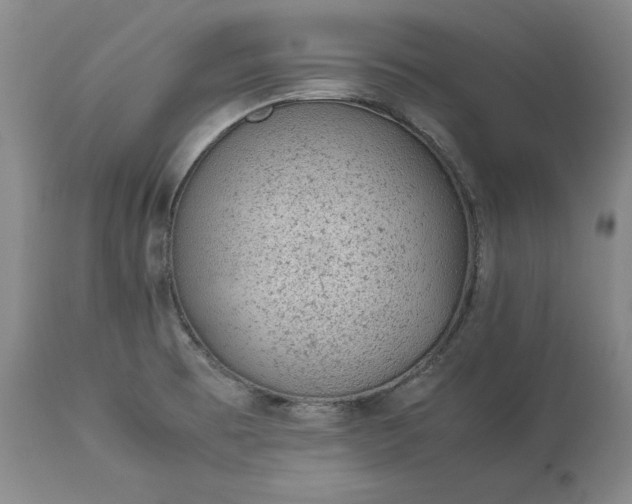 X0000113241473200909241535