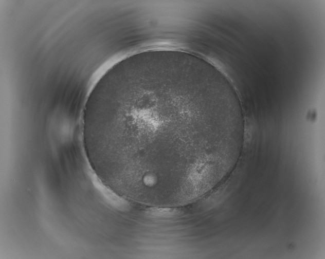 X0000113241474200909241535